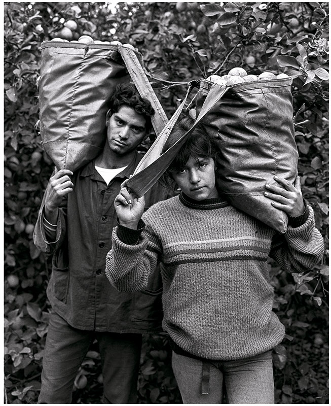 Marcela Beatriz Quirós y Juan Carlos García, cosecheros de limones